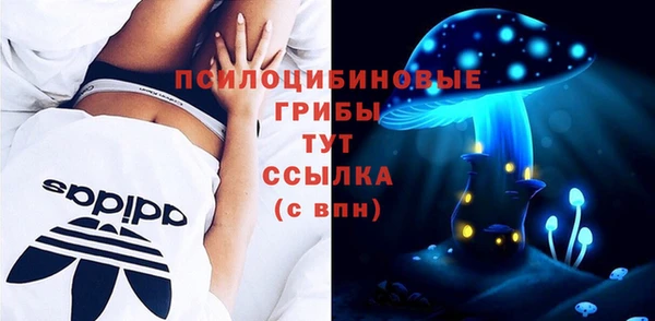 индика Тутаев