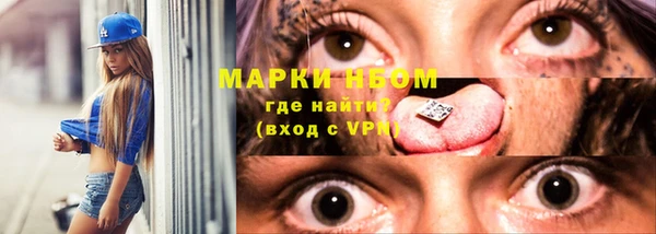 ПСИЛОЦИБИНОВЫЕ ГРИБЫ Вяземский