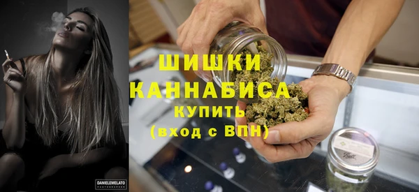 ПСИЛОЦИБИНОВЫЕ ГРИБЫ Вяземский