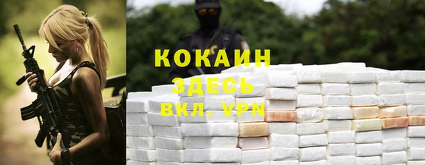 ПСИЛОЦИБИНОВЫЕ ГРИБЫ Вяземский