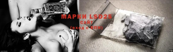 ПСИЛОЦИБИНОВЫЕ ГРИБЫ Вяземский